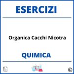 Esercizi Chimica Organica Cacchi Nicotra Soluzioni Svolti PDF